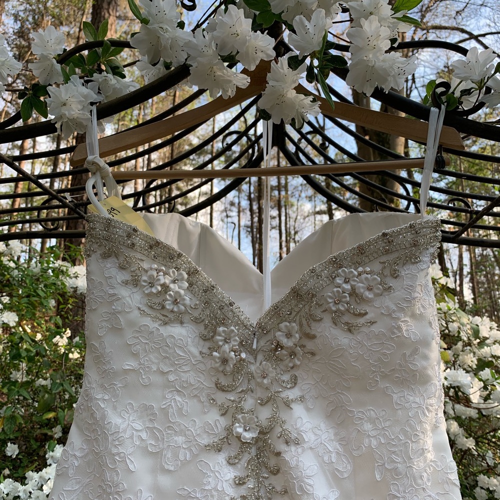 Wedding Dress - Picture 5 of 7